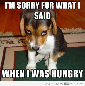 I'm sorry for what I said when I was hungry